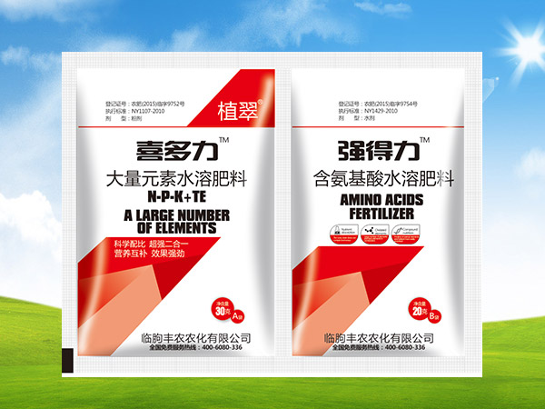 喜多力+強(qiáng)得力