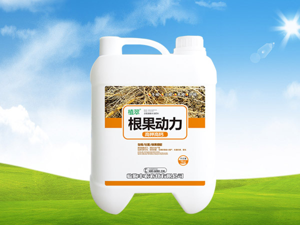 根果動力